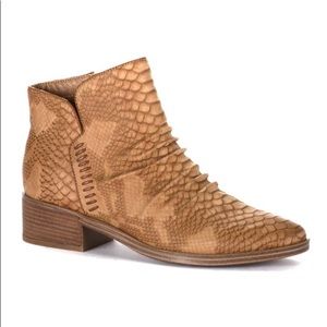 New BareTraps Miesha Tan Snake Print Block Heel Booties